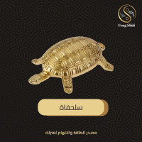 رمز السلحفاة