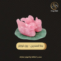 بط المندرين - روز كوارتز