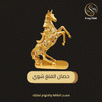 حصان الفنغ شوي (يوضع في ركن المهنة)