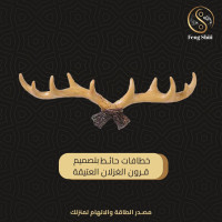 خطافات حائط بتصميم قرون الغزلان العتيقة