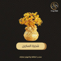 شجرة السترين