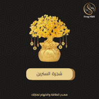 شجرة السترين مع العملات 